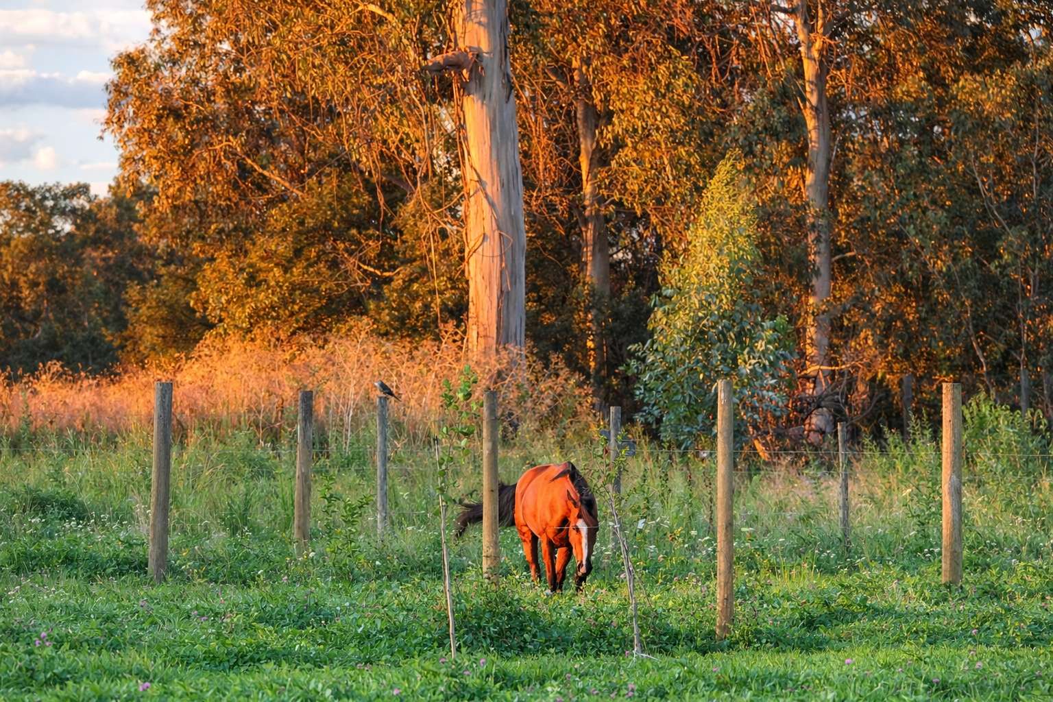Portada Santa Margarita