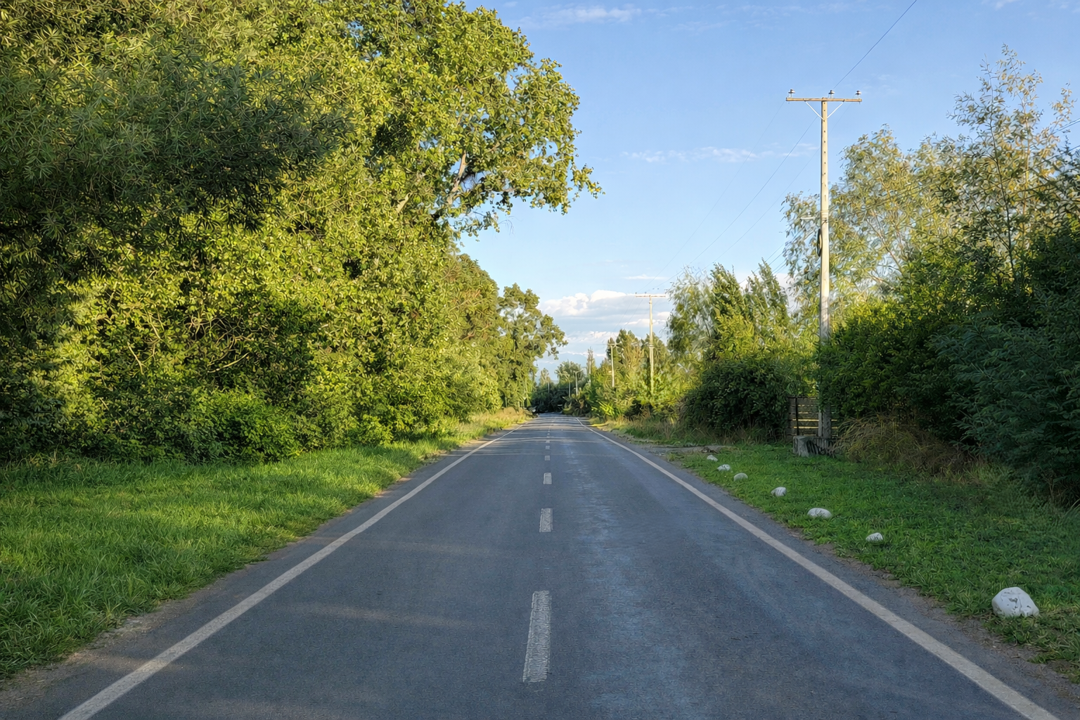 Portada Piedra Amarilla