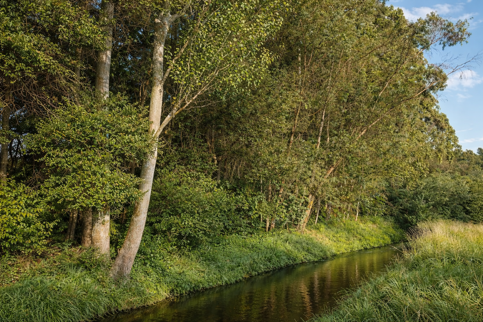 Collage Santa Margarita